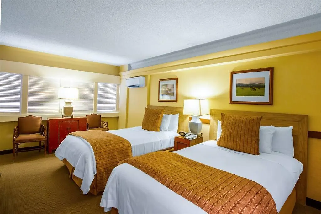 Equus Hotel Honolulu