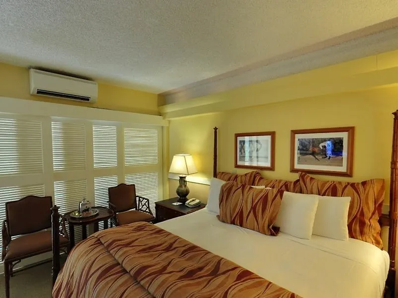 Equus Hotel Honolulu