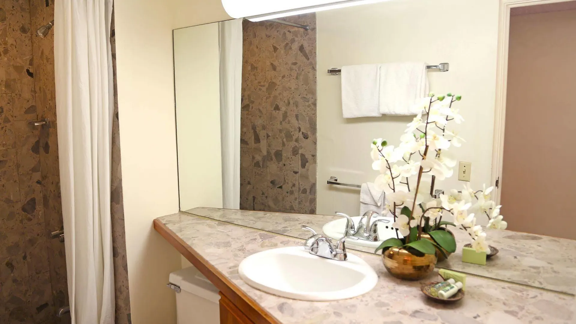 Equus Hotel Honolulu