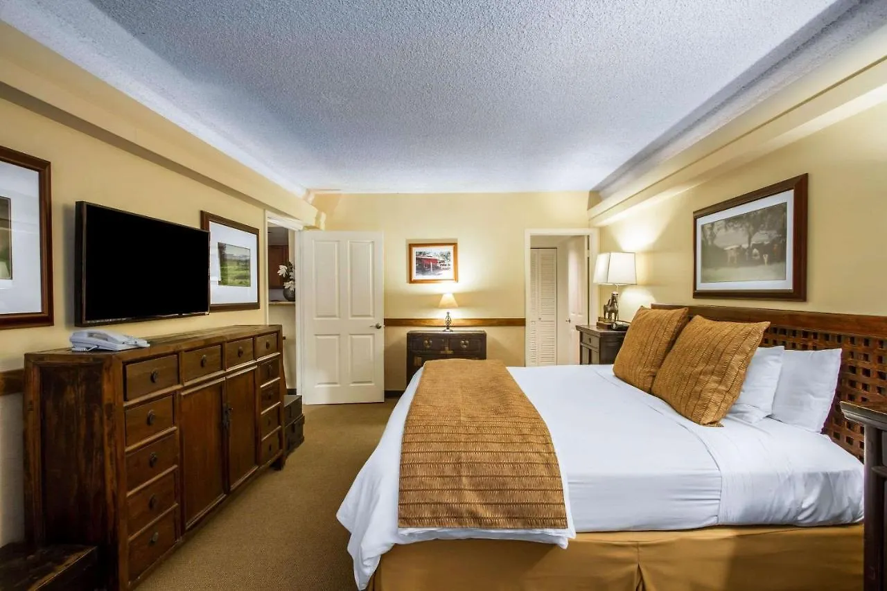 Equus Hotel Honolulu