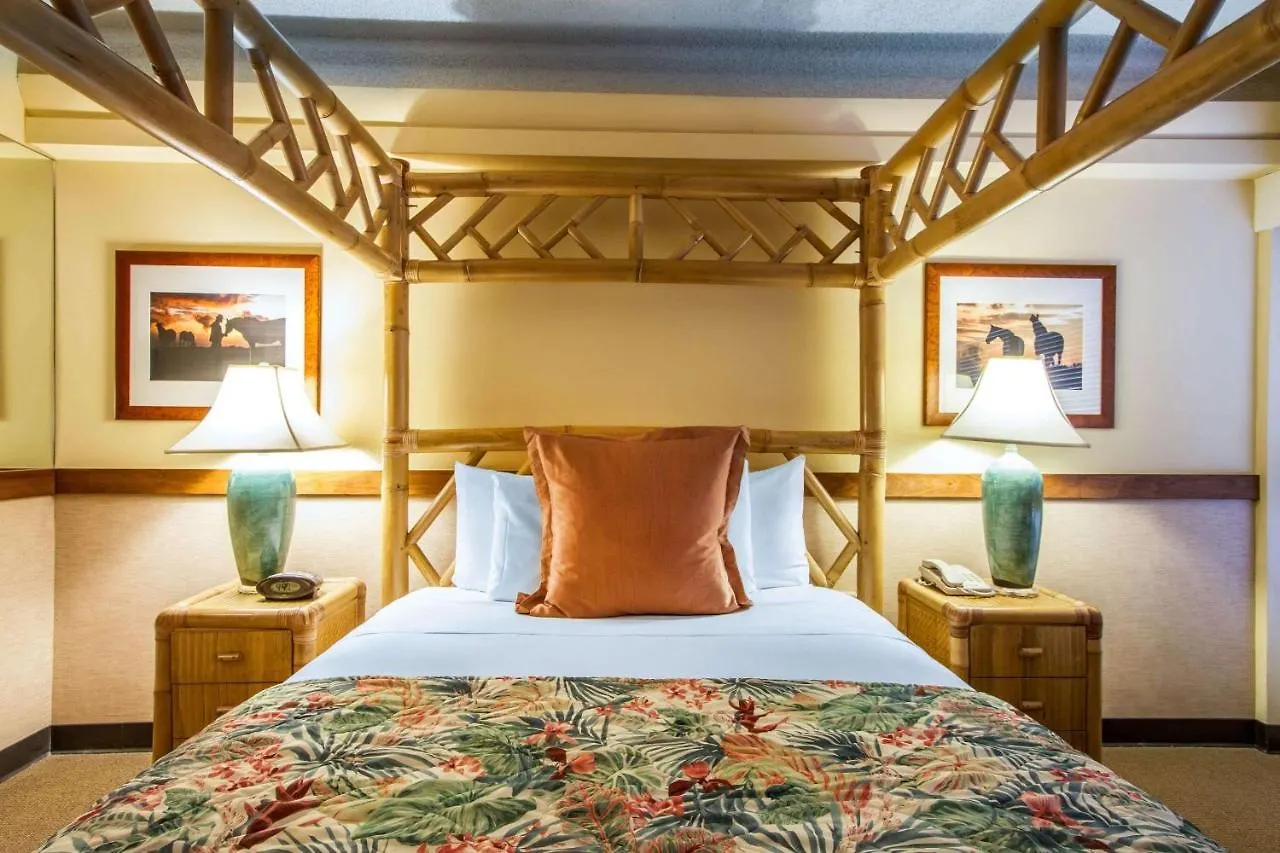 Equus Hotel Honolulu