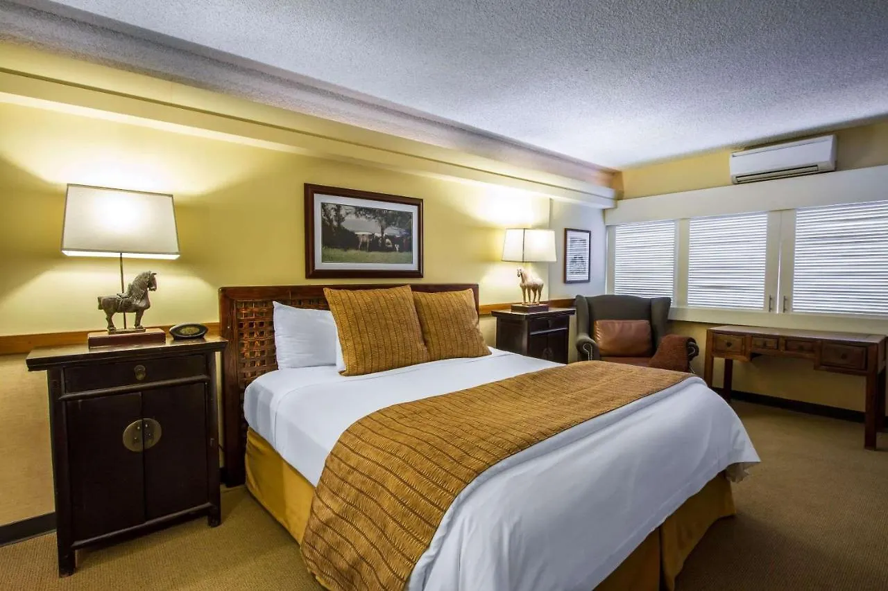 Equus Hotel Honolulu